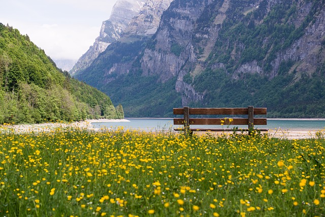 스위스 여행 1. 세계적으로 유명한 자연 경치를 자세히 살펴보는 스위스 여행